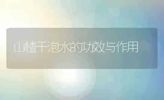 红柚子的功效与作用 | 养殖资料投稿