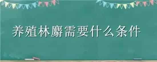养殖林麝需要什么条件