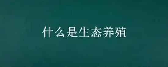 什么是生态养殖
