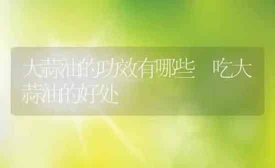 大蒜油的功效有哪些 吃大蒜油的好处 | 养殖资料投稿