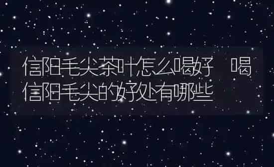 信阳毛尖茶叶怎么喝好 喝信阳毛尖的好处有哪些 | 养殖资料投稿