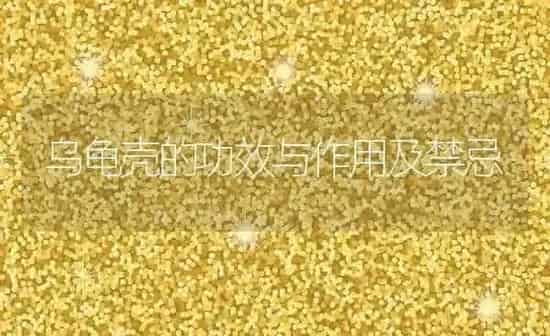 乌龟壳的功效与作用及禁忌 | 养殖资料投稿