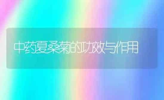 中药夏桑菊的功效与作用 | 养殖资料投稿