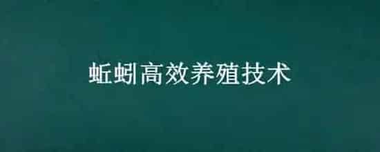 蚯蚓高效养殖技术