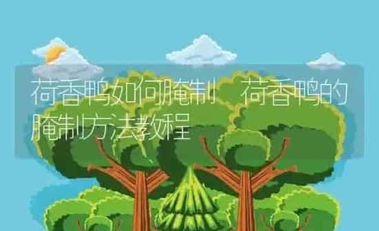 荷香鸭如何腌制 荷香鸭的腌制方法教程 | 养殖资料投稿