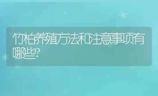 竹柏养殖方法和注意事项有哪些? | 养殖资讯