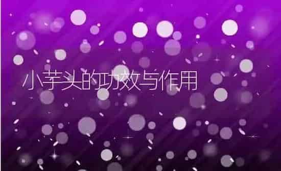 小芋头的功效与作用 | 养殖资料投稿