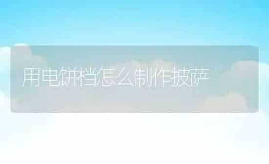 用电饼档怎么制作披萨 | 养殖资料投稿