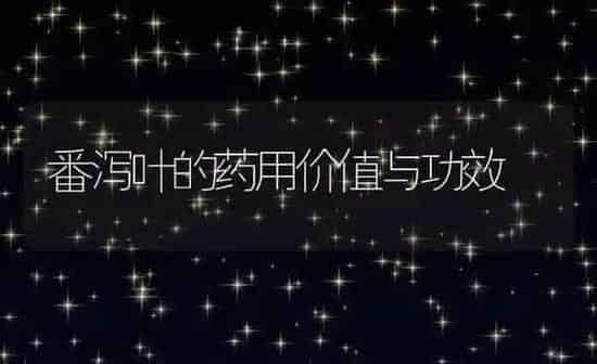 番泻叶的药用价值与功效 | 养殖资料投稿