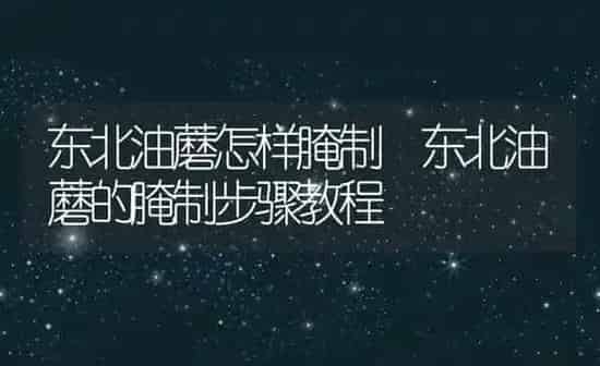 东北油蘑怎样腌制 东北油蘑的腌制步骤教程 | 养殖资料投稿