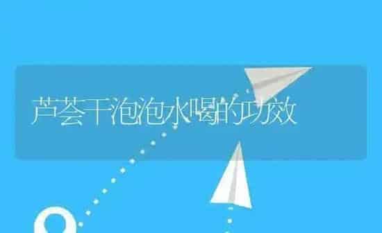 芦荟干泡泡水喝的功效 | 养殖资料投稿