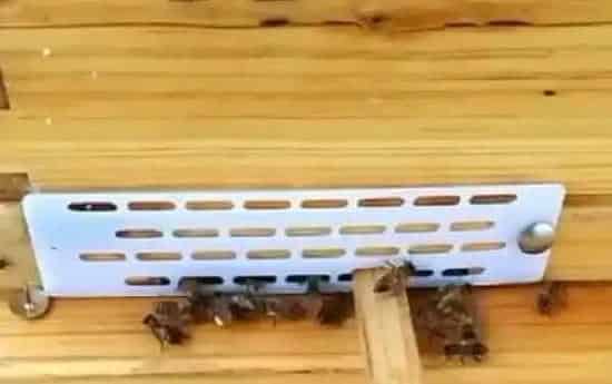 防逃片有什么作用