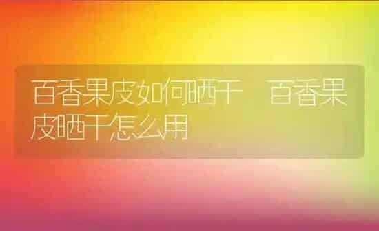 百香果皮如何晒干 百香果皮晒干怎么用 | 养殖资料投稿
