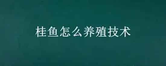 桂鱼怎么养殖技术