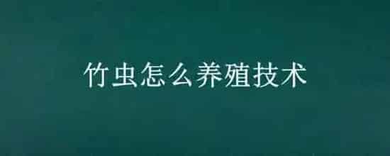 竹虫怎么养殖技术