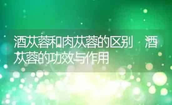 酒苁蓉和肉苁蓉的区别 酒苁蓉的功效与作用 | 养殖资料投稿