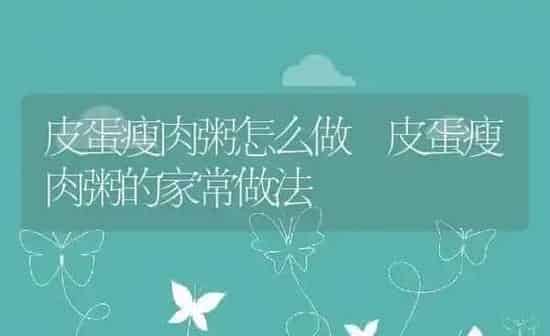 皮蛋瘦肉粥怎么做 皮蛋瘦肉粥的家常做法 | 养殖资讯