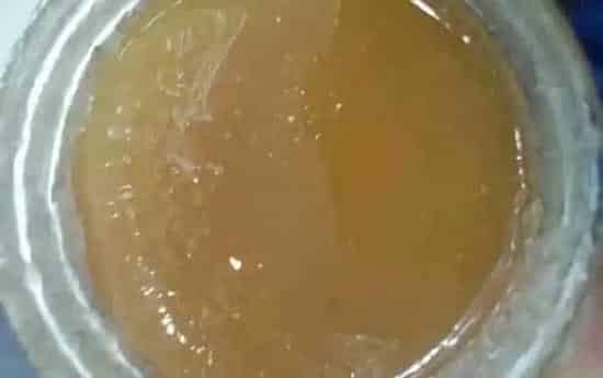 枸杞蜂蜜水的功效与作用及禁忌