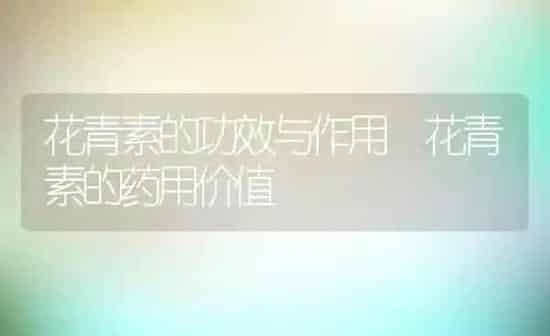 花青素的功效与作用 花青素的药用价值 | 养殖资料投稿