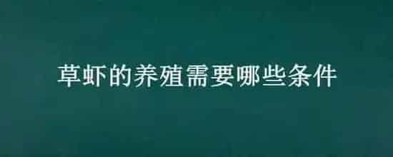 草虾的养殖需要哪些条件