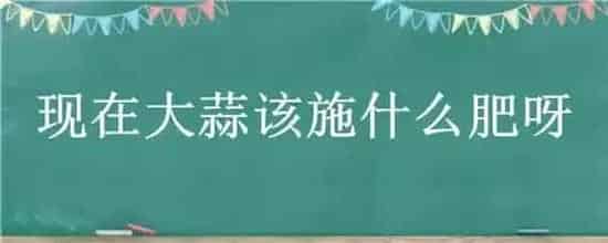 现在大蒜该施什么肥呀