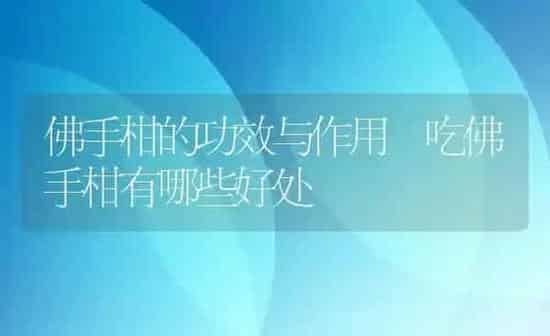佛手柑的功效与作用 吃佛手柑有哪些好处 | 养殖资料投稿