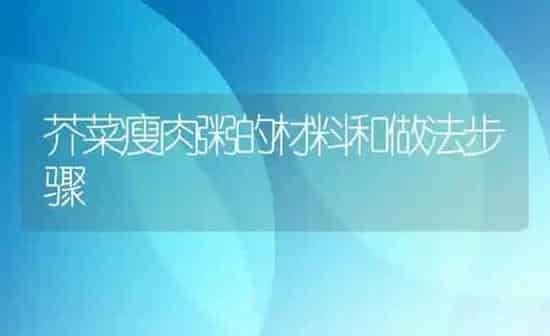 芥菜瘦肉粥的材料和做法步骤 | 养殖资讯