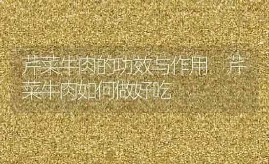 芹菜牛肉的功效与作用 芹菜牛肉如何做好吃 | 养殖资料投稿