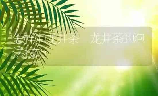 怎样泡龙井茶 龙井茶的泡法技巧 | 养殖资料投稿