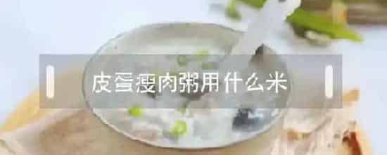 皮蛋瘦肉粥用什么米
