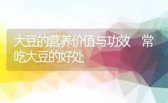 大豆的营养价值与功效 常吃大豆的好处 | 养殖资料投稿
