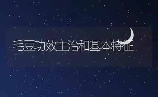毛豆功效主治和基本特征 | 养殖资料投稿
