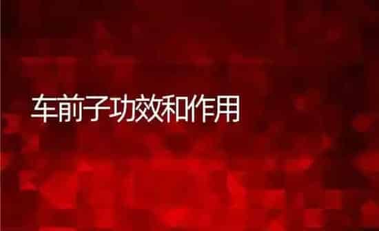车前子功效和作用 | 养殖资料投稿