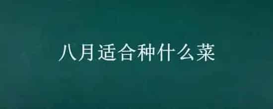 八月适合种什么菜