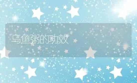 乌鱼粥的功效 | 养殖资料投稿