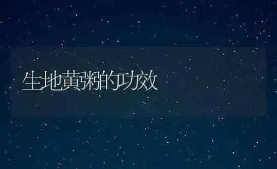 生地黄粥的功效 | 养殖资讯