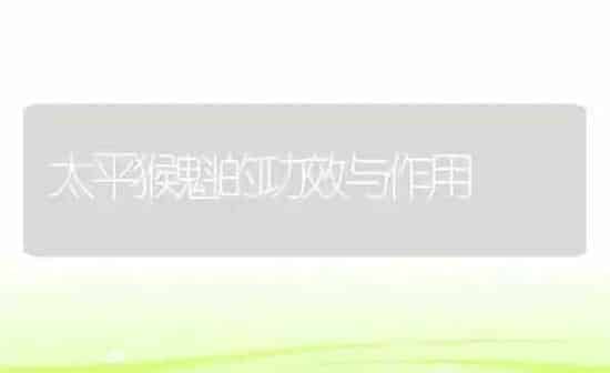 太平猴魁的功效与作用 | 养殖资料投稿