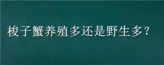 梭子蟹养殖多还是野生多