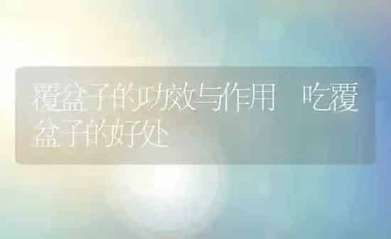 椰子粉的功效与作用及食用方法 | 养殖资料投稿