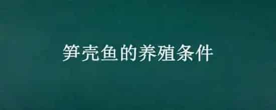 笋壳鱼的养殖条件