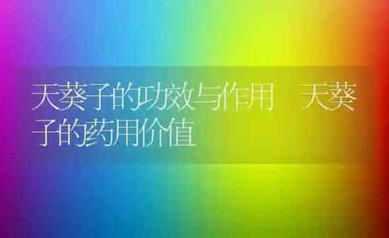 天葵子的功效与作用 天葵子的药用价值 | 养殖资料投稿