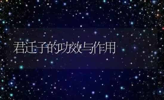 君迁子的功效与作用 | 养殖资料投稿