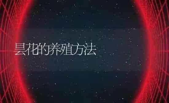 昙花的养殖方法 | 养殖资料投稿
