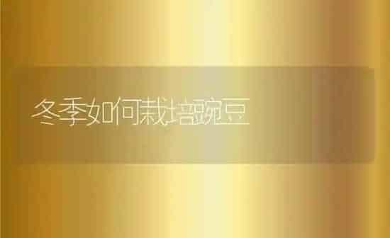 冬季如何栽培豌豆 | 养殖资料投稿