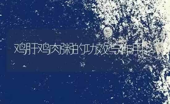 鸡肝鸡肉粥的功效与作用 | 养殖资讯