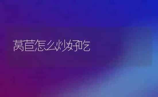 莴苣怎么炒好吃 | 养殖资料投稿