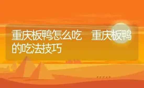 重庆板鸭怎么吃 重庆板鸭的吃法技巧 | 养殖资料投稿