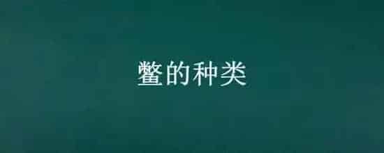 鳖的种类