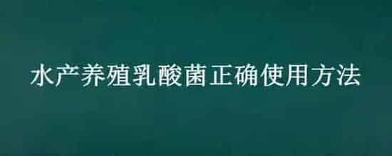 水产养殖乳酸菌正确使用方法