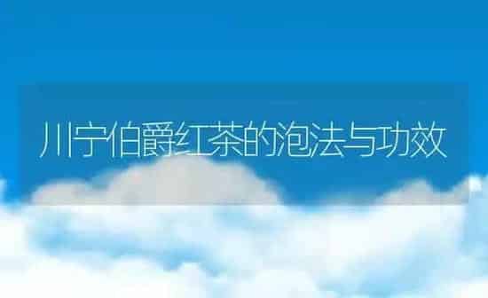 川宁伯爵红茶的泡法与功效 | 养殖资料投稿